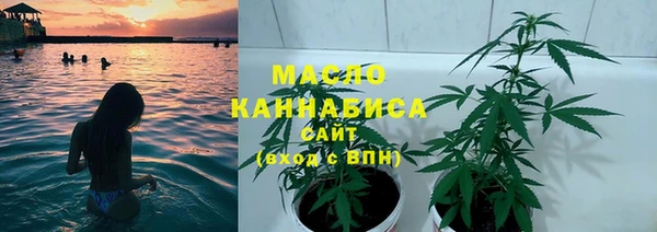 сатива Бугульма
