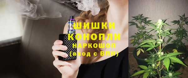 сатива Бугульма