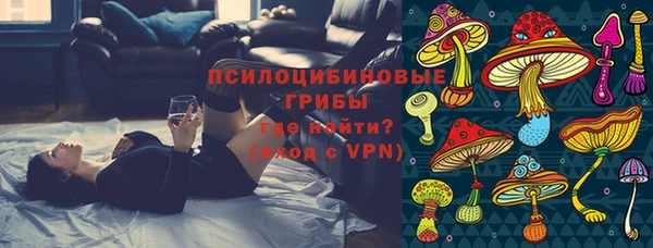 сатива Бугульма