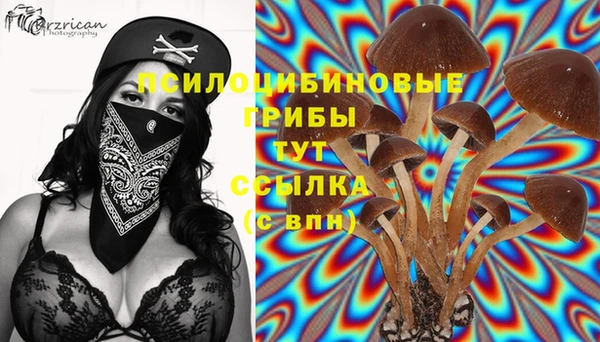 альфа пвп Бородино
