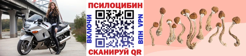 Галлюциногенные грибы Psilocybe  Батайск 
